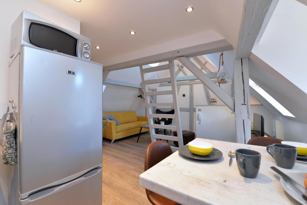 Appartement La Petite Terrasse Sur Les Toits Кольмар Екстер'єр фото